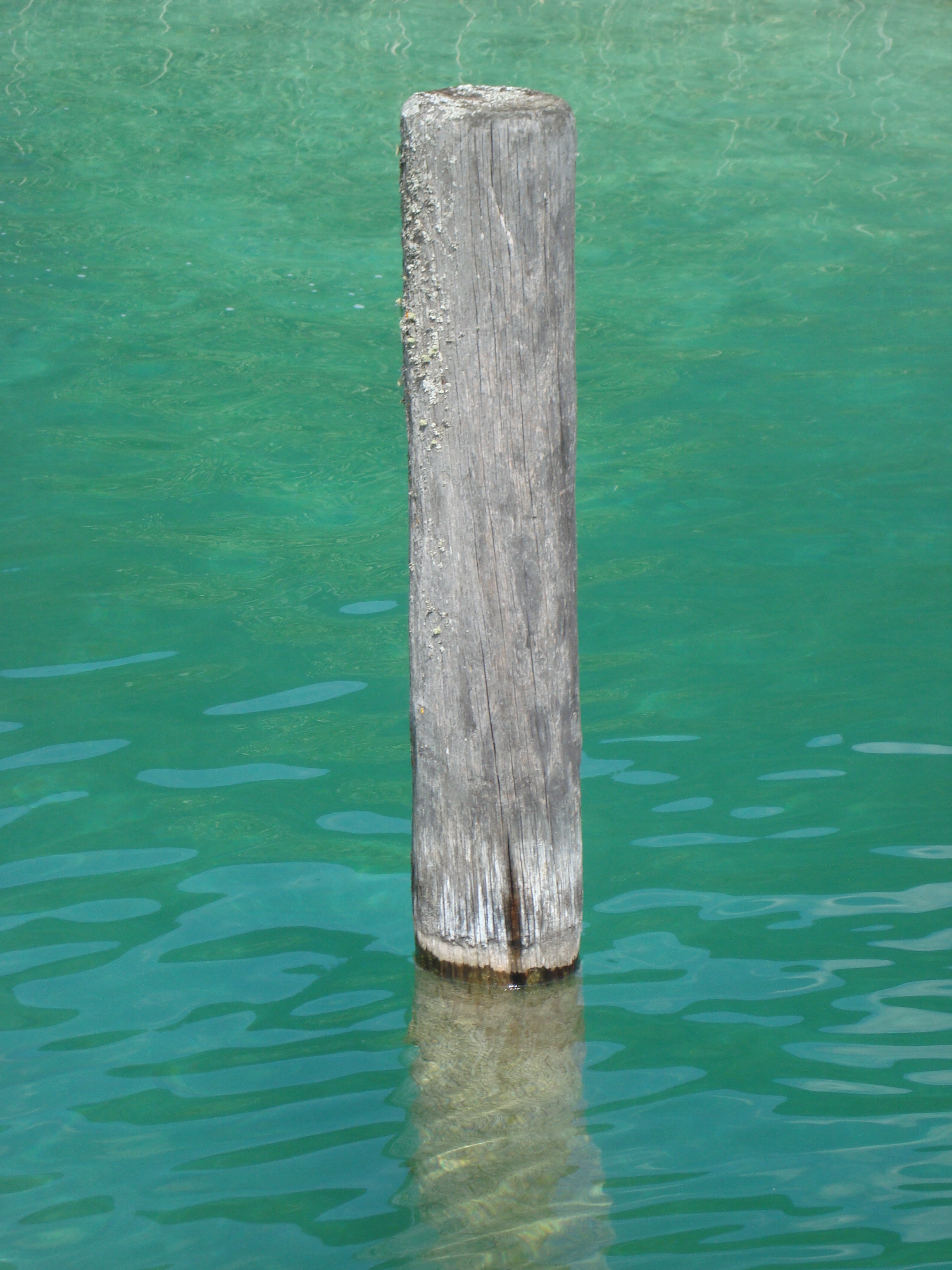 Pflock im Wasser